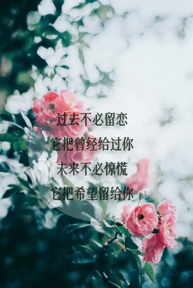 来源:pixabay 时间:2021-08-02                  类别