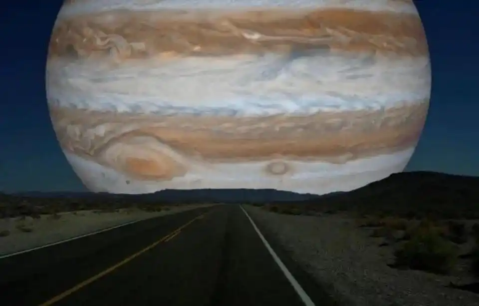 看完这些照片后他们的巨物恐惧症彻底发作了