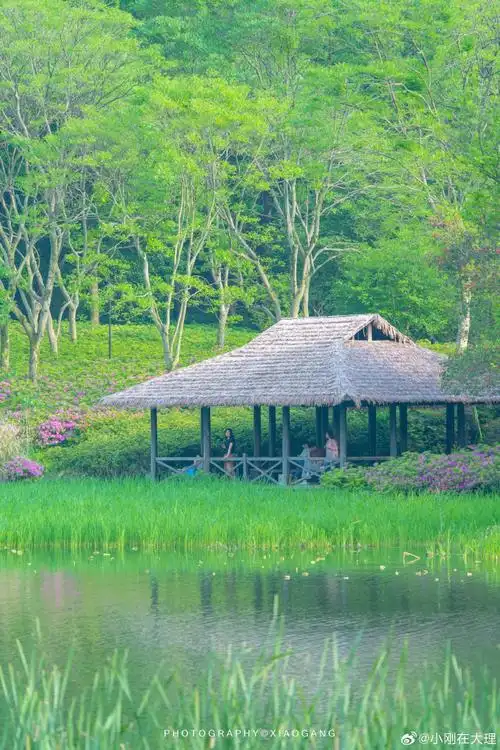 在杭州西湖拍到绿野仙踪#  在杭州西湖旁的小众景点,发现了现实暗的