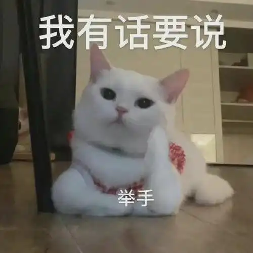 我有话要说举手(猫咪表情包)