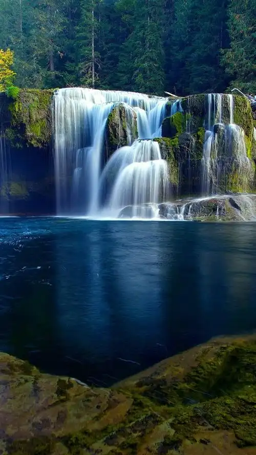 壁纸 自然风光,河流,瀑布,森林 1920x1200 hd 高清壁纸, 图片, 照片