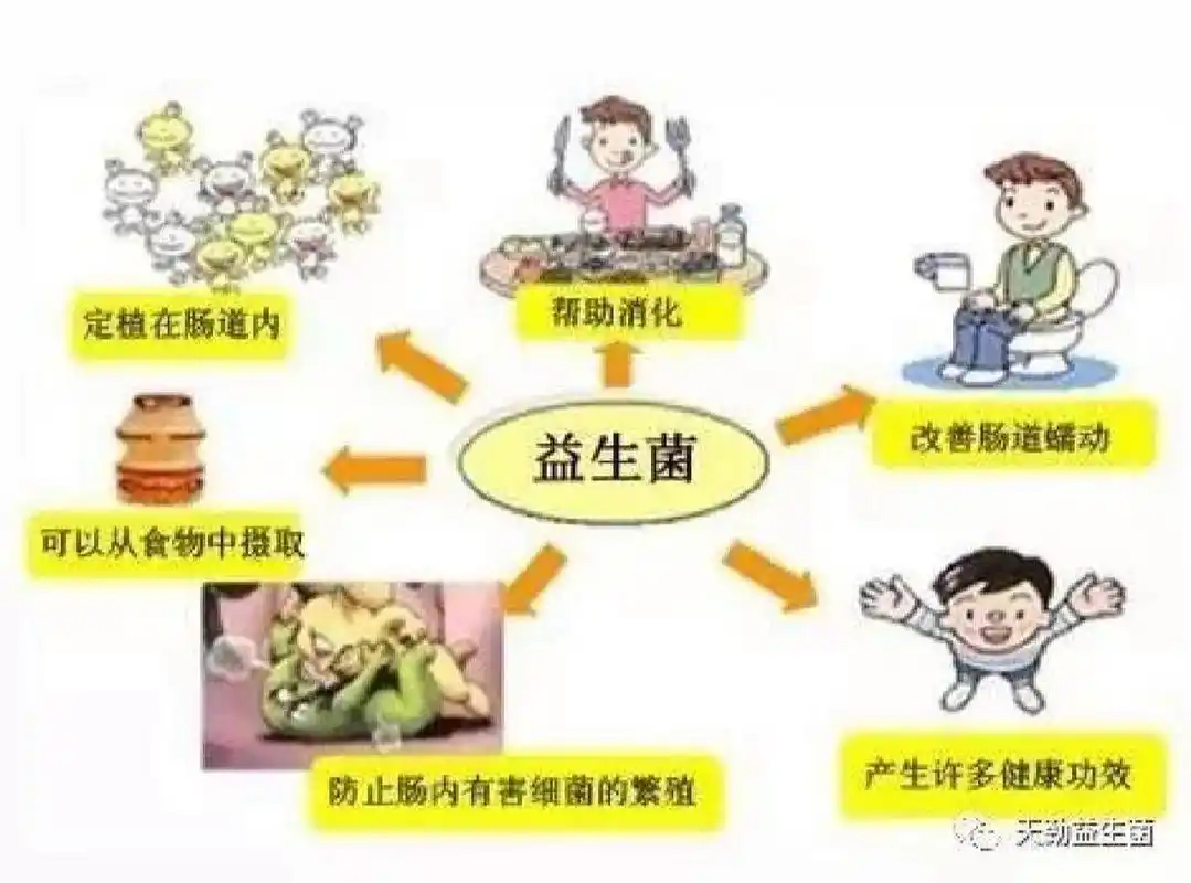 益生菌的功效/适用人群/禁忌人群 一,什么是益生菌?