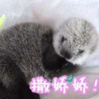 撒娇娇卖萌gif动图_动态图_表情包下载_soogif