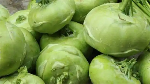 教你在家腌苤蓝脆爽好吃又下饭腌两天就能吃放12个月不坏