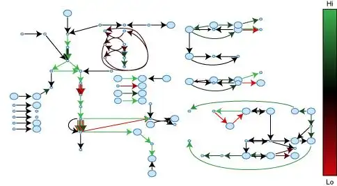 mycoplasma genitalium