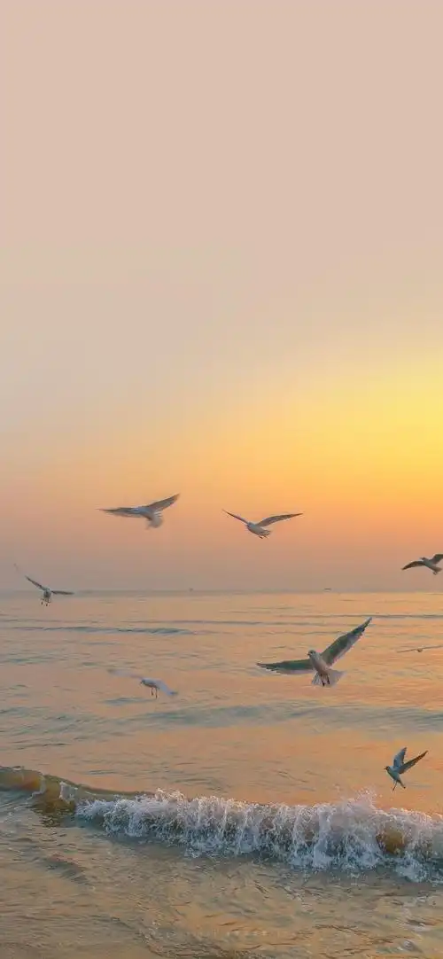 手机墙壁纸(精选高质量手机壁纸(374),治愈系)