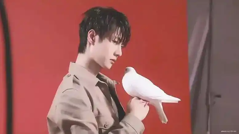 金贵少爷和他养的鸽子#战山为王 #耽误你几秒心动一下 #朝朝 - 抖音