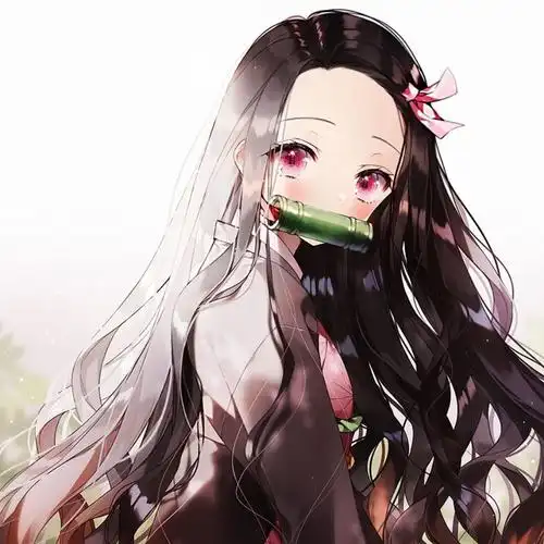 伏特加女孩不喝伏特加2019