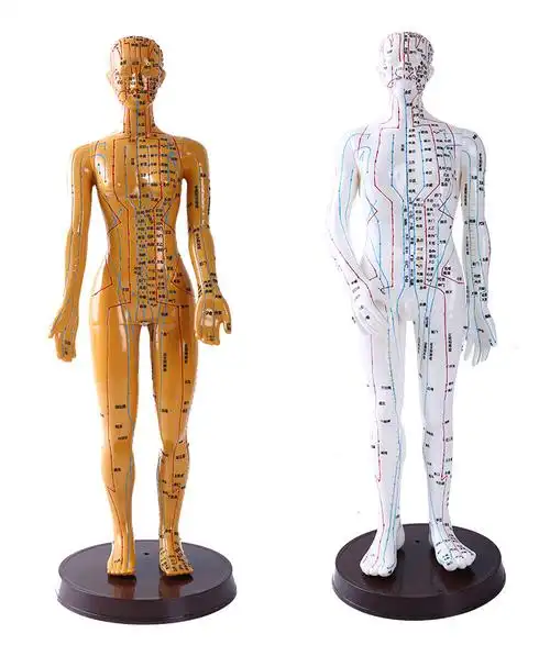 中医穴位人体模型高清针灸经络模型针灸教学全身女小人铜人小孩穴位