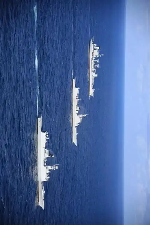 王伟烈士牺牲20周年南海舰队中国海军绝不会让历史重演