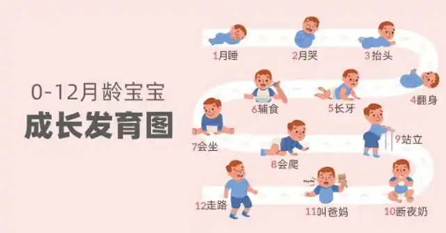 新手爸妈必看012月龄宝宝生长发育图