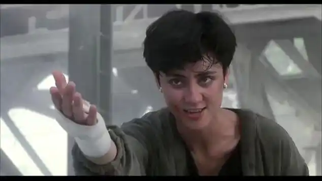 动作喜剧片|犯罪片|国产电影|动作片|喜剧电影|香港电影|霸王花(电影