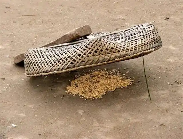 农村80后小时候做的事情全都玩过的你就老了成了珍贵的回忆