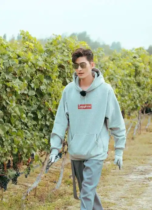 原创张翰偶像包袱太重干农活也不忘耍帅这精致程度也是没谁了