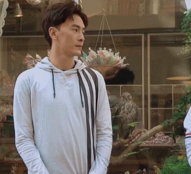 极速前进郑元畅无语了低头gif动图_动态图_表情包下载_soogif