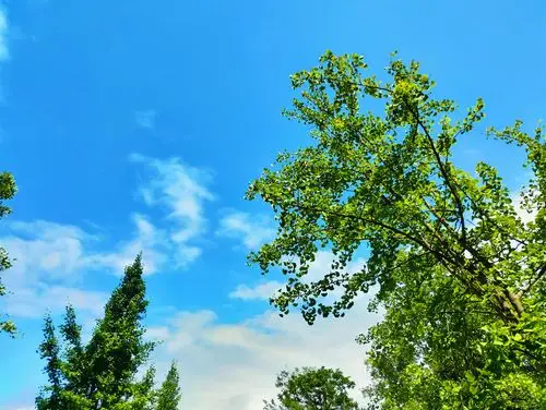 广安蓝天白云晴空万里像极了爱情