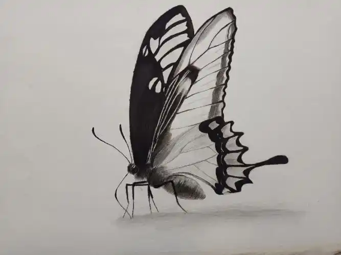 然后报了画室,在画室起了一个星期静物的型,然后就开始画精微素描啦!