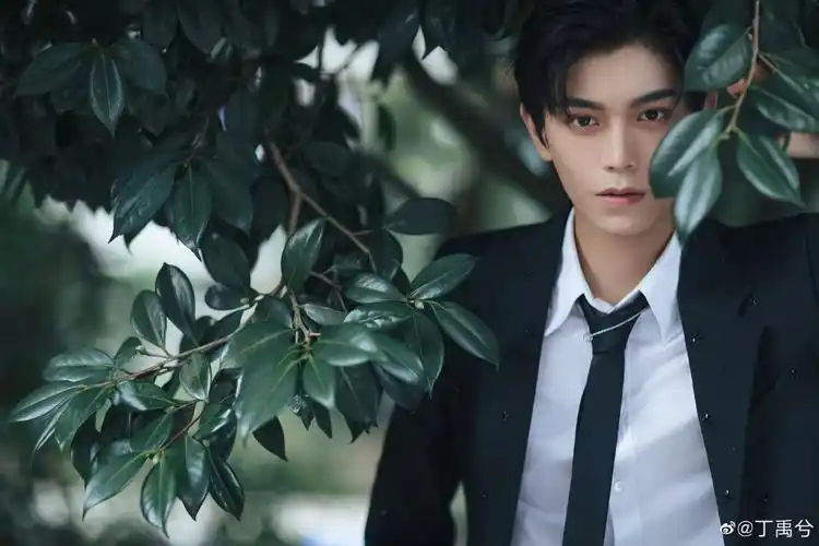 丁禹兮 - 堆糖,美图壁纸兴趣社区