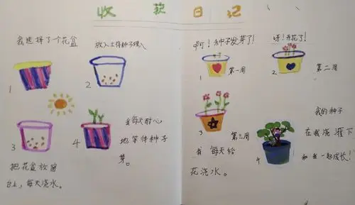 晴耕雨读种春光——解放小学一年五班的植物日记