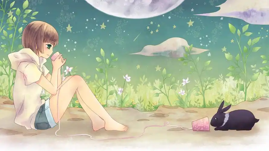 可爱女生兔子夜晚的星星月亮可爱动漫壁纸