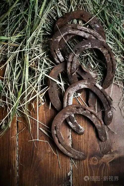 赤道背景木坝上躺着的幸运的老马蹄铁