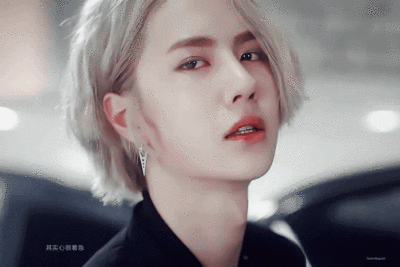 王一博 图片评论 0条  收集   点赞  评论  王一博丨洛阳白牡丹 0 48