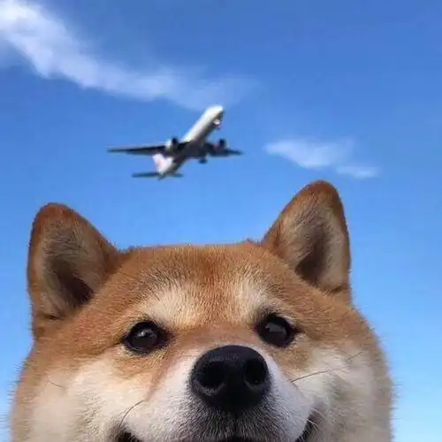 能推几个好看的男生头像吗? - 知乎