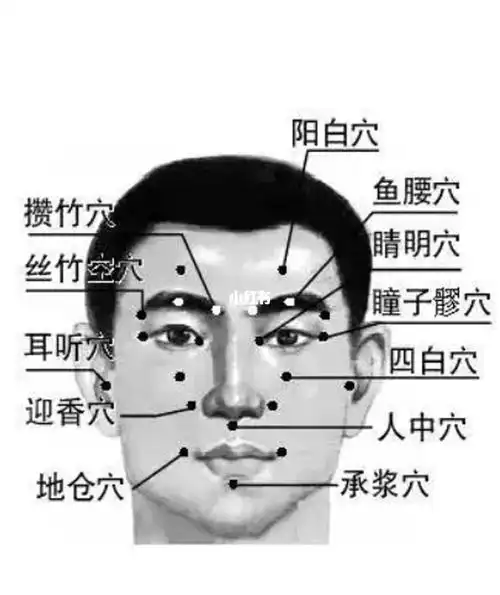 因为面肌痉挛主要是脸上的肌肉跳动,所以说我们一定要选择局部的穴位