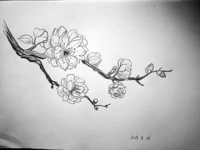 手绘速写桃花步骤