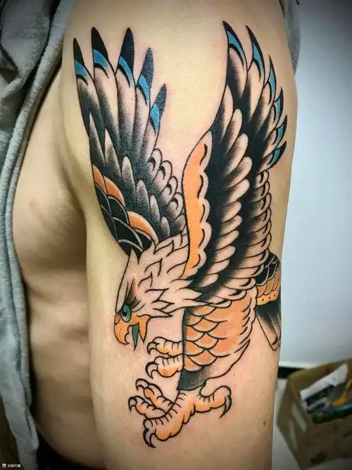 鹰_纹身图案手稿图片_飞墨的纹身作品集