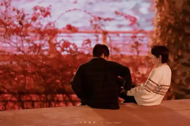 宋亚轩刘耀文四手联弹