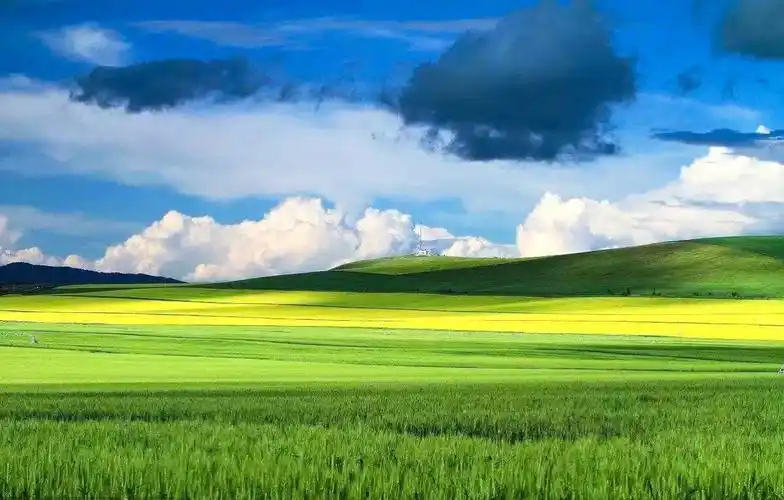 这里有亚洲最大的湿地, 这里有世界上最美的草原, 这里有世界上最