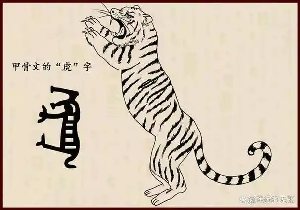 虎年说"虎"字,甲骨文如何展现老虎的凶猛,古人真是太智慧了