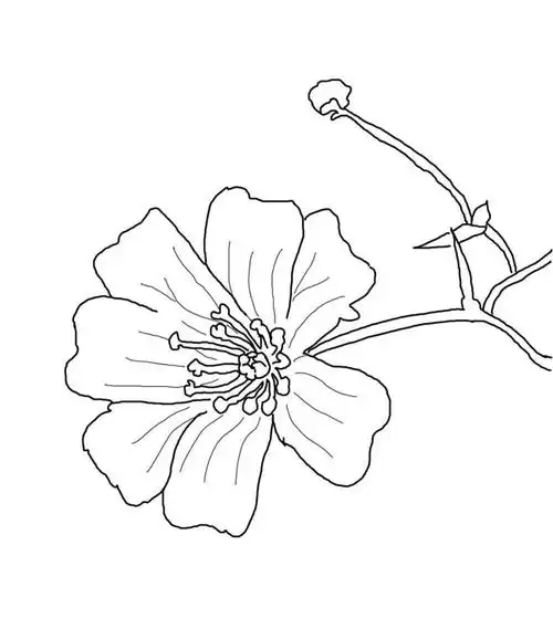 手绘满天星简笔画图片