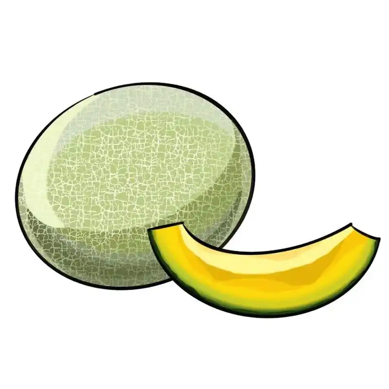 哈密瓜简笔画教程