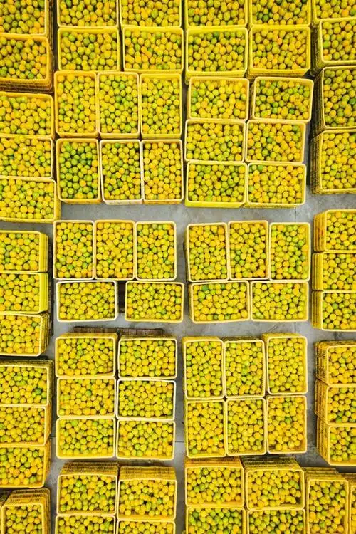 广东最"散装"的城市,如何捧出了"煲仔饭之神"?