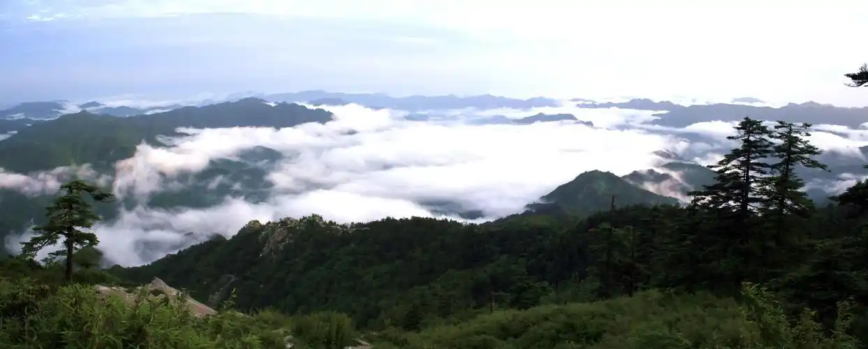 原创陕西佛坪秦岭深处的生态卫士