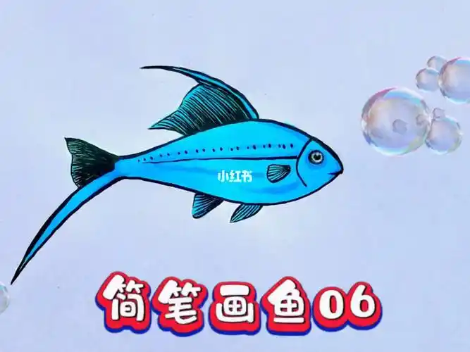 简笔画鱼