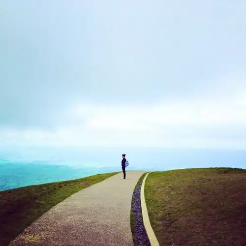 一个人,大自然,自然,女孩,天空,法国,森林,路moony