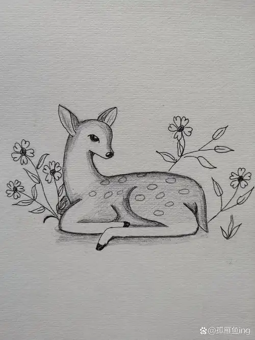 素描 一只小鹿