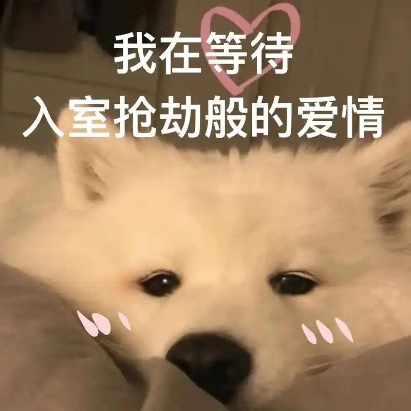 坐等.#欢迎取图 #搞笑表情包 #单身狗 #表情包分享 #表 - 抖音