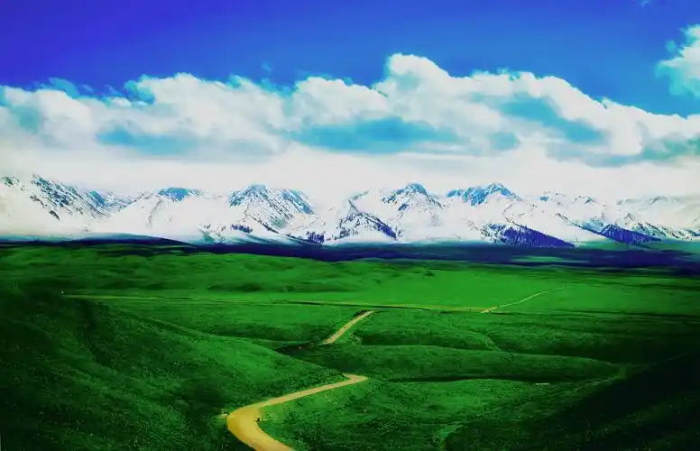美丽神秘的那拉提草原蓝天白云下的雪山和草原