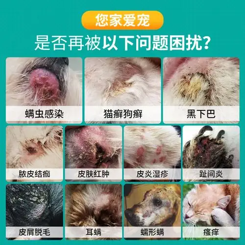 用药猫癣专用黑下下巴喷剂猫咪猫藓狗癣药膏猫皮肤病药品
