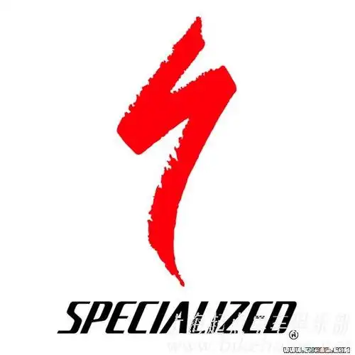 自行车配件跟闪电标志很像的一个标志是什么名字