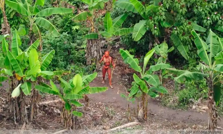 亚马逊丛林失落的部落