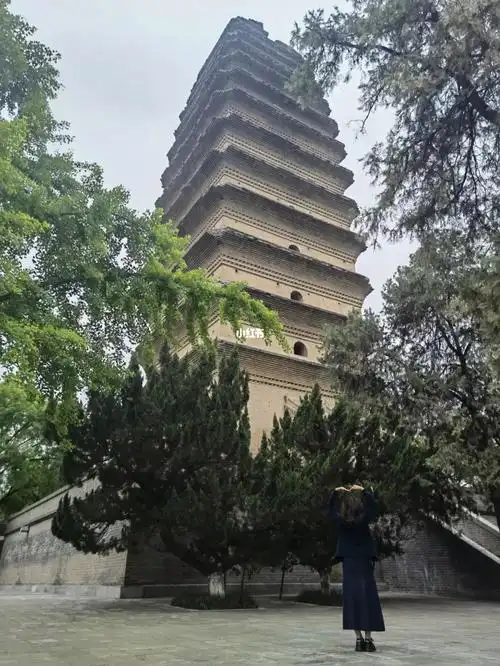 西安小雁塔适合遛娃