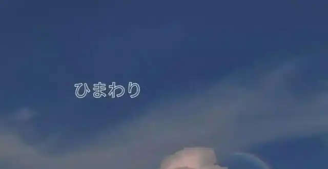 崩溃ins·少女心·超甜·背景图:既然这样,让我们立刻开始这段感情吧!