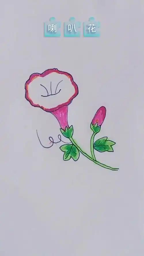 牵牛花儿童简笔画
