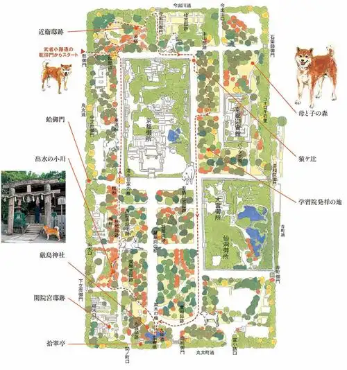 除了京都御所,周边还有很多适合带狗狗一起散步的地方.