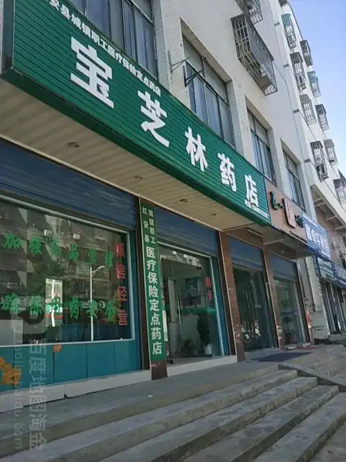 宝芝林药店